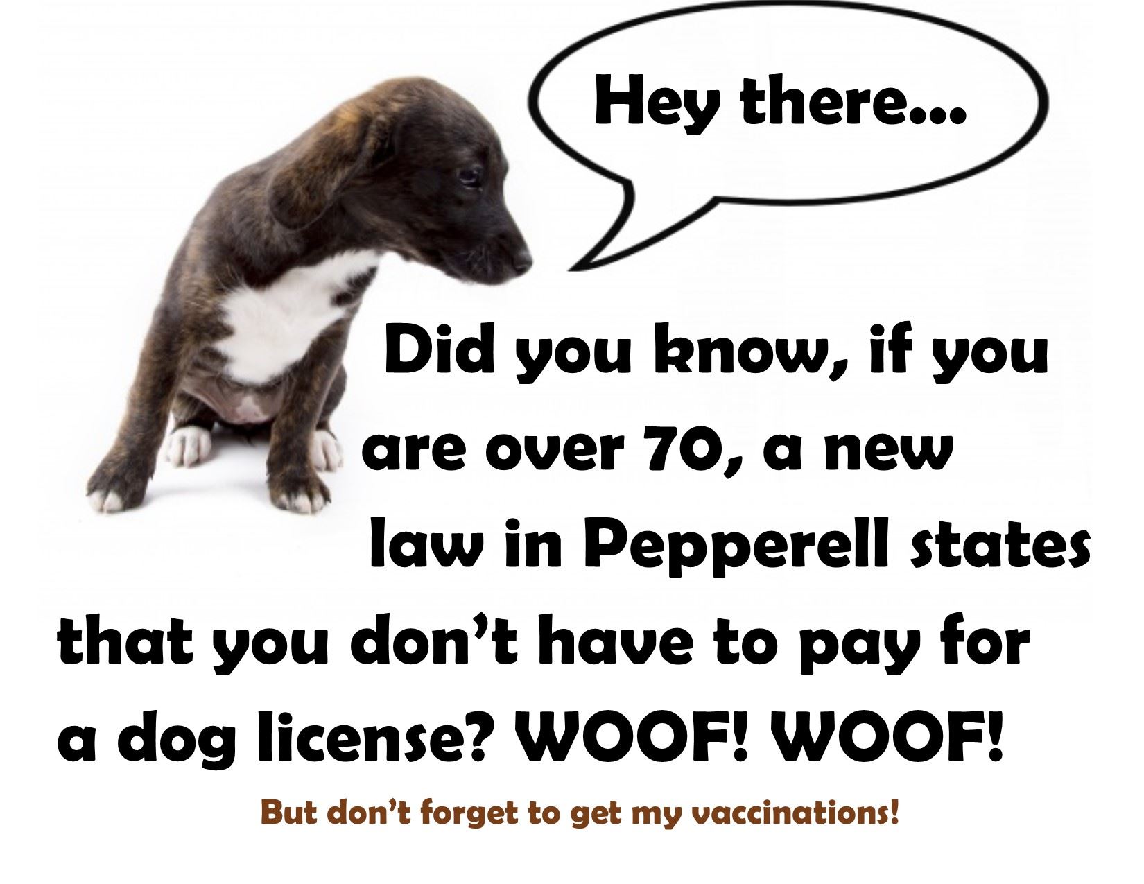 Dog License change